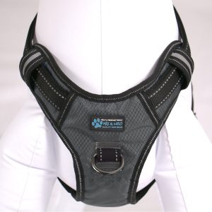 Gunnison Dog Harness - Image 5