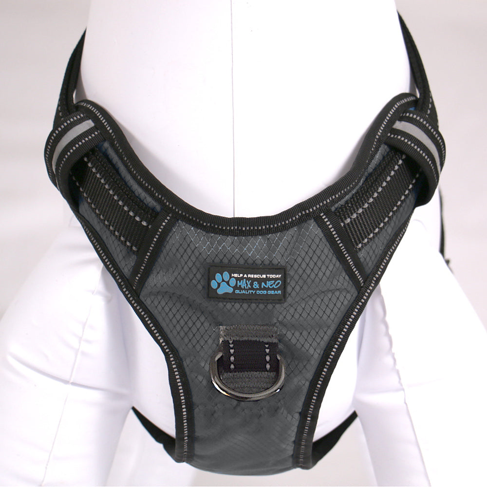 Gunnison Dog Harness