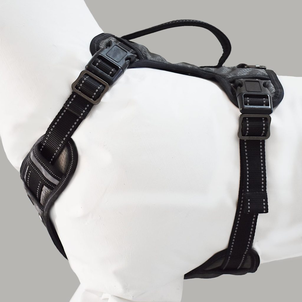 Gunnison Dog Harness