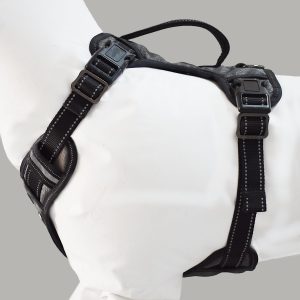 Gunnison Dog Harness - Image 3