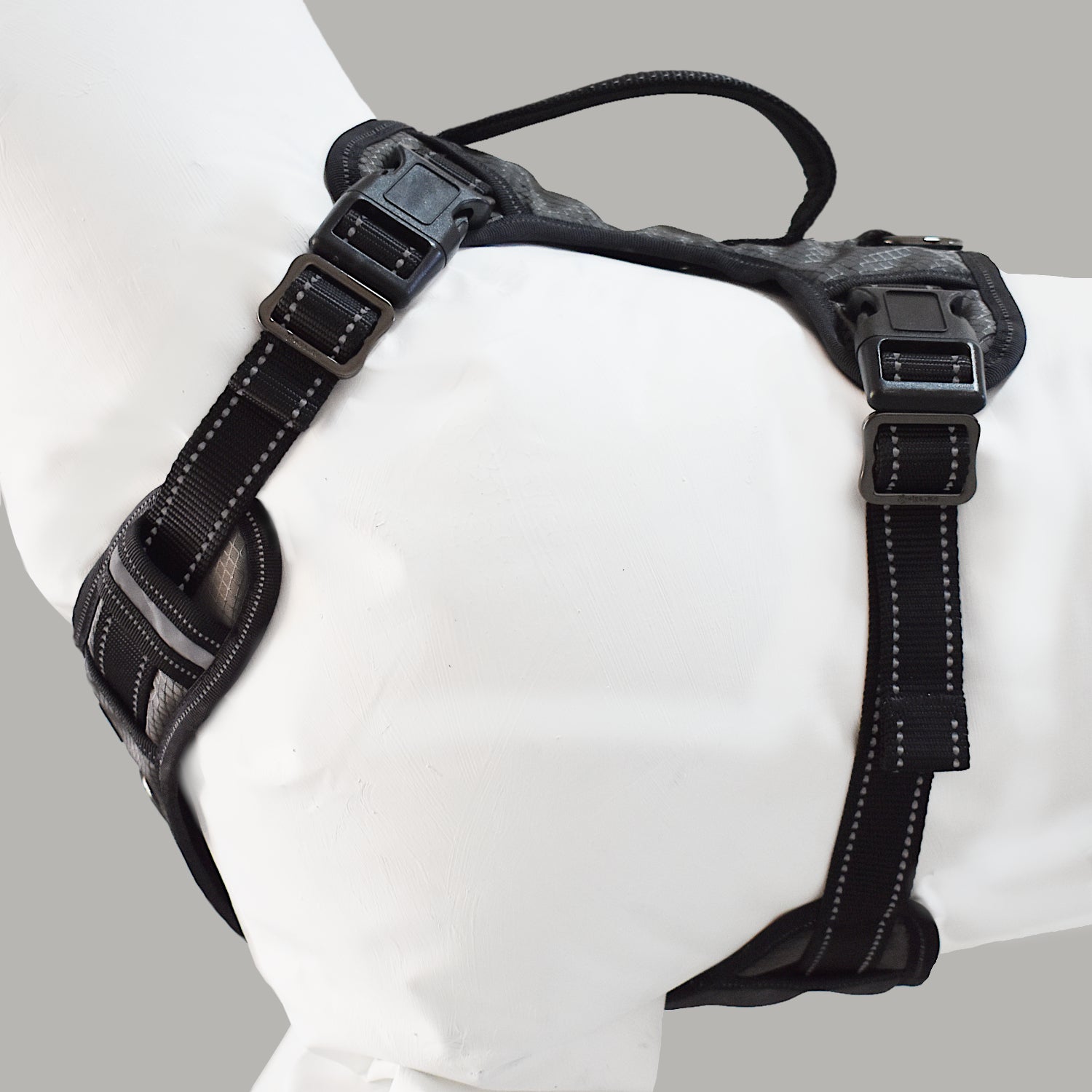 Gunnison Dog Harness - Image 3
