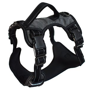 Gunnison Dog Harness - Image 1