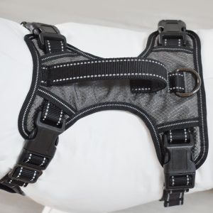 Gunnison Dog Harness - Image 4