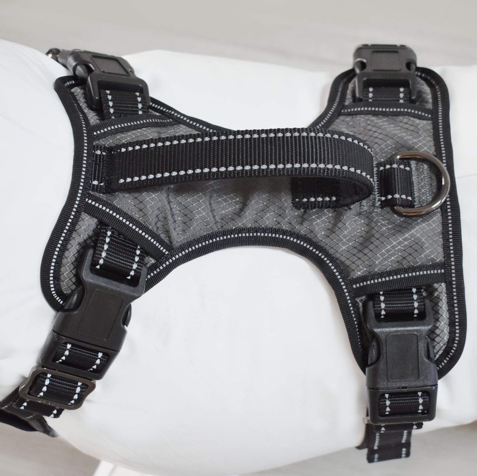 Gunnison Dog Harness - Image 4