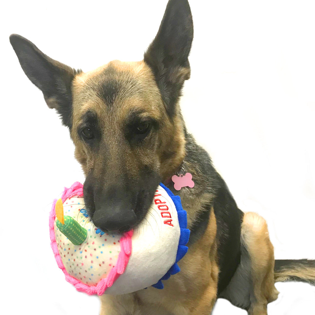 Happy Adoption Day Cake Toy - Image 3
