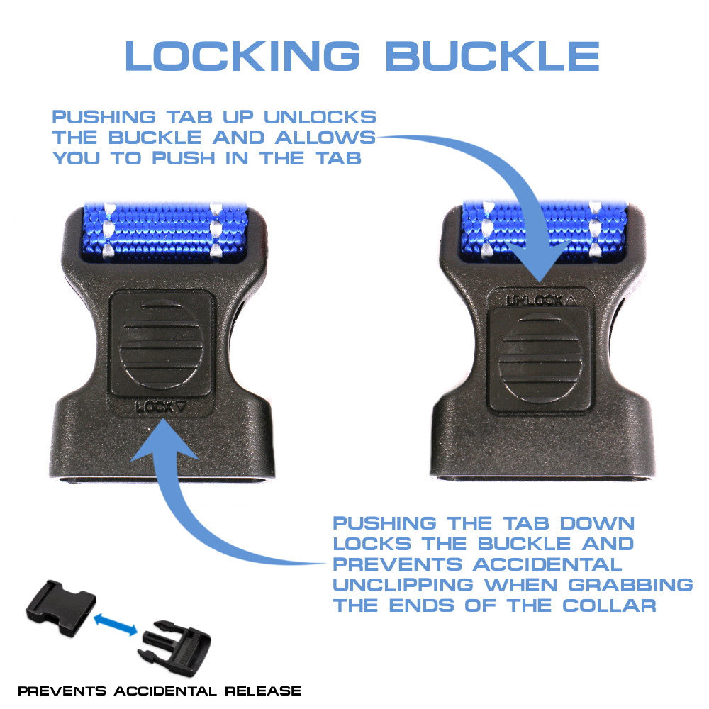 The NEO Dog Collar