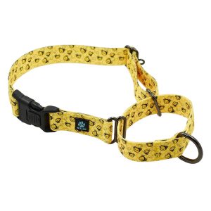 Martingale All Nylon Dog Collar - Bees, Dinosaur, Red Poppies & Life is Better - Image 1