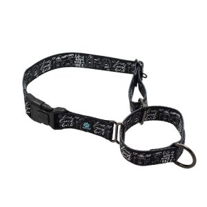 Martingale All Nylon Dog Collar - Bees, Dinosaur, Red Poppies & Life is Better - Image 3