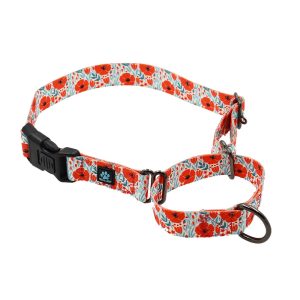 Martingale All Nylon Dog Collar - Bees, Dinosaur, Red Poppies & Life is Better - Image 4