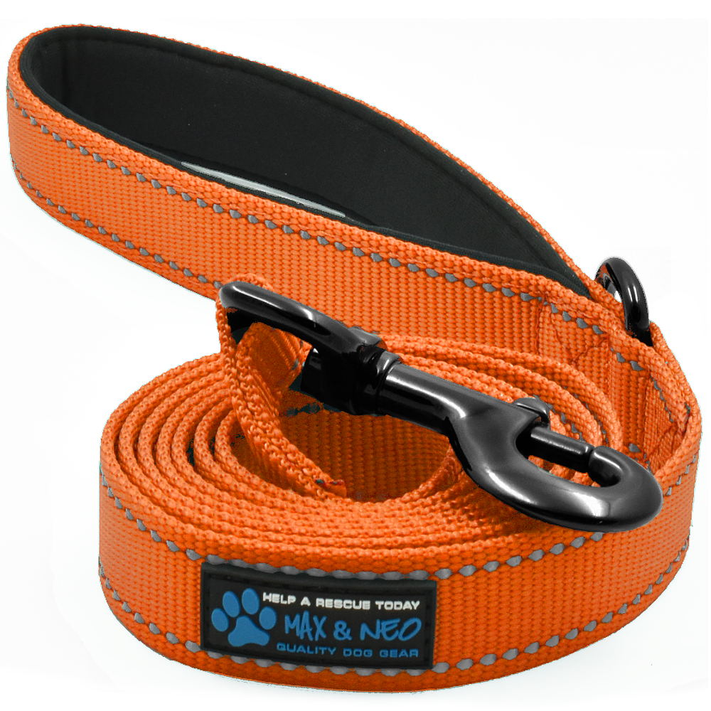 4 FT x 1" Wide Nylon Reflective Dog Leash