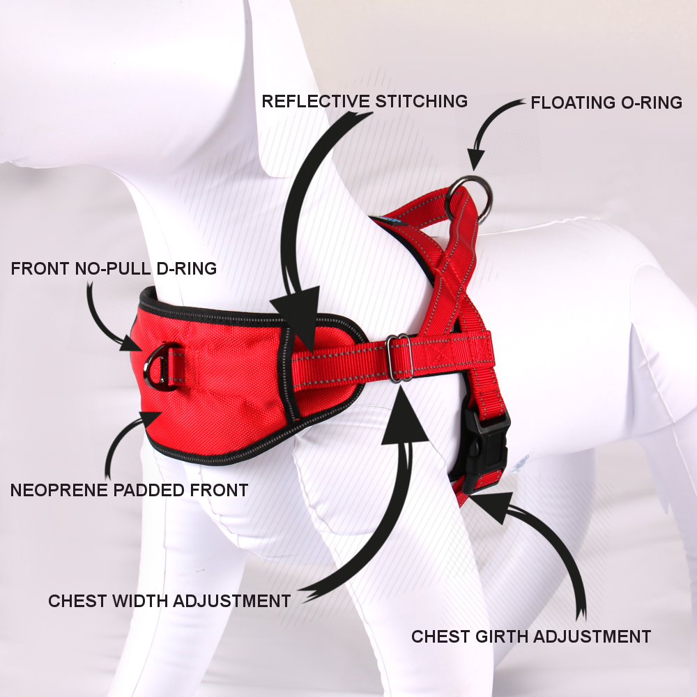 Passport Harness (discontinued)