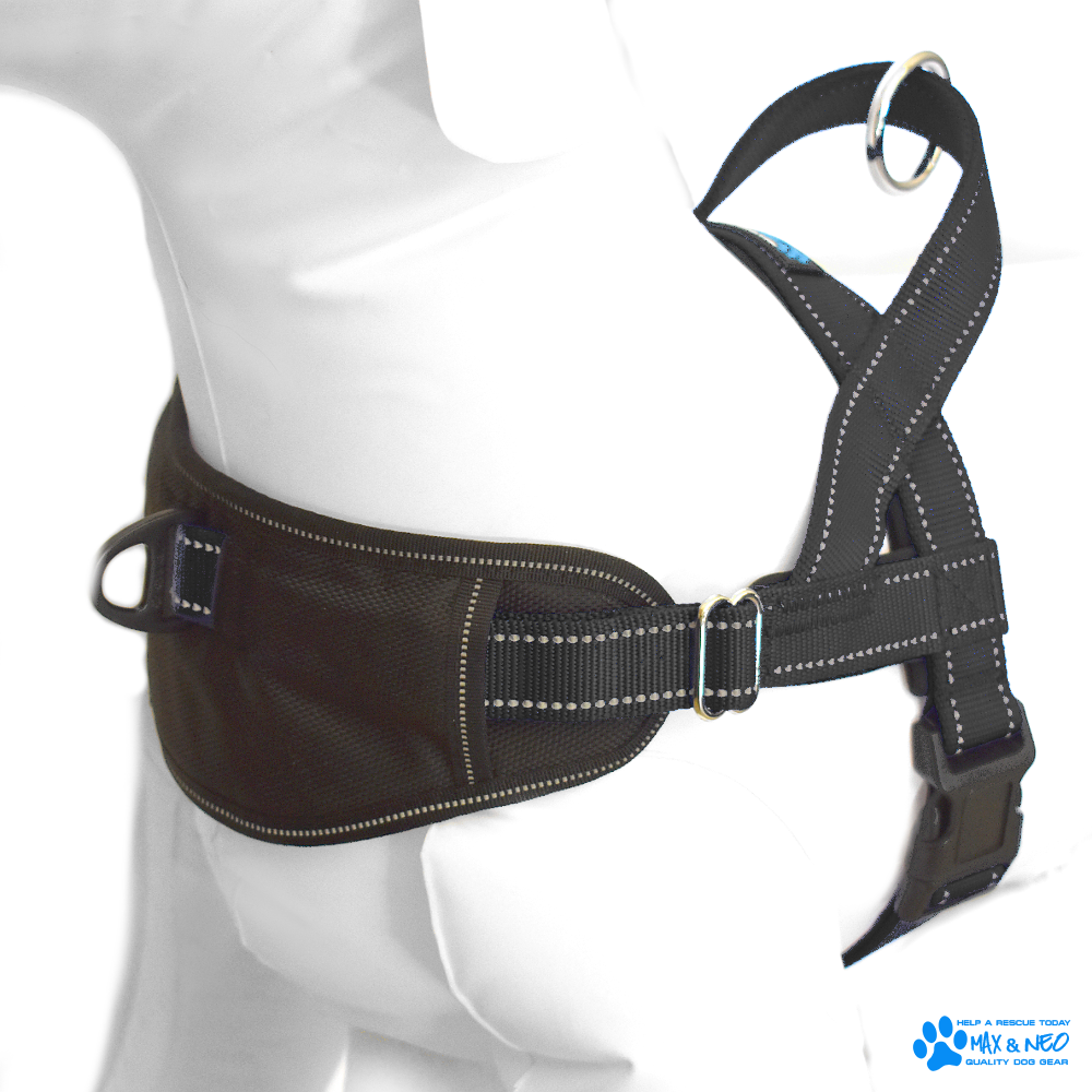 Passport Harness (discontinued)