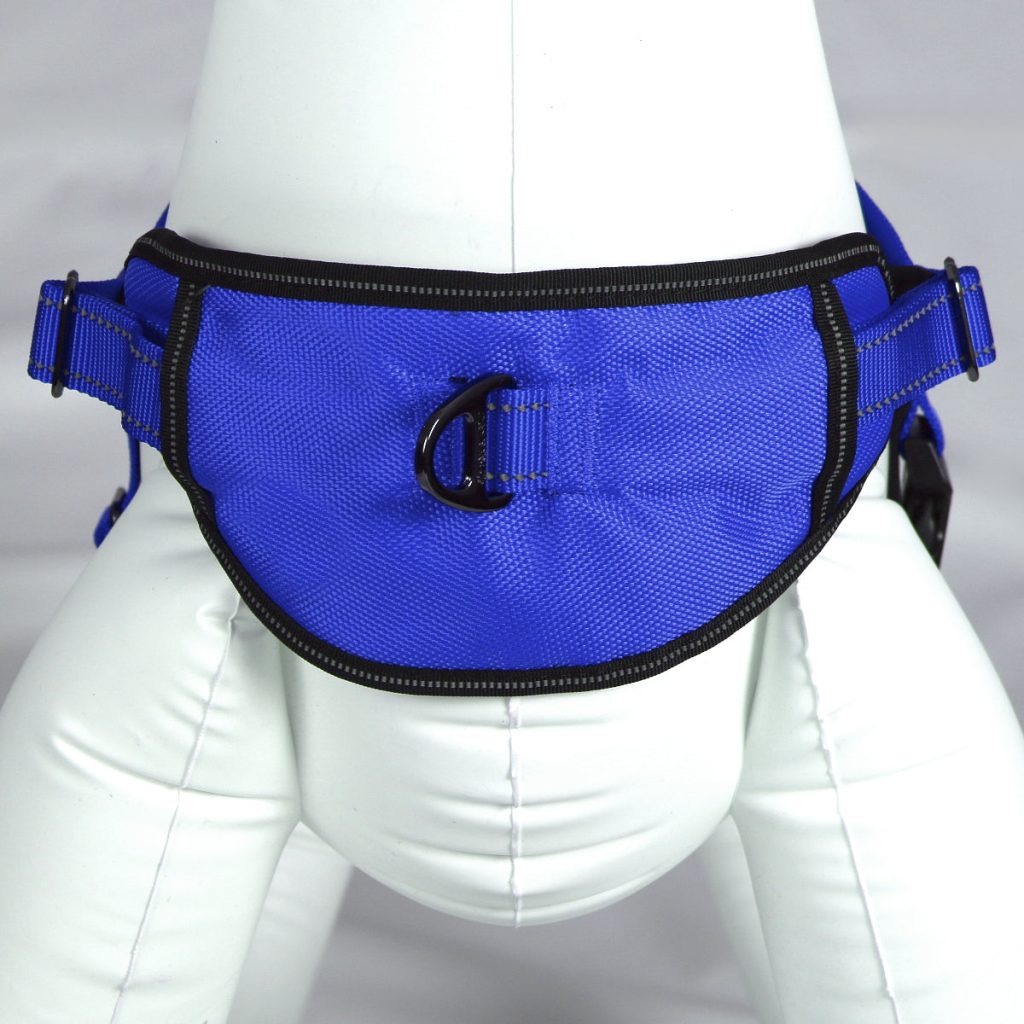 Passport Harness (discontinued)