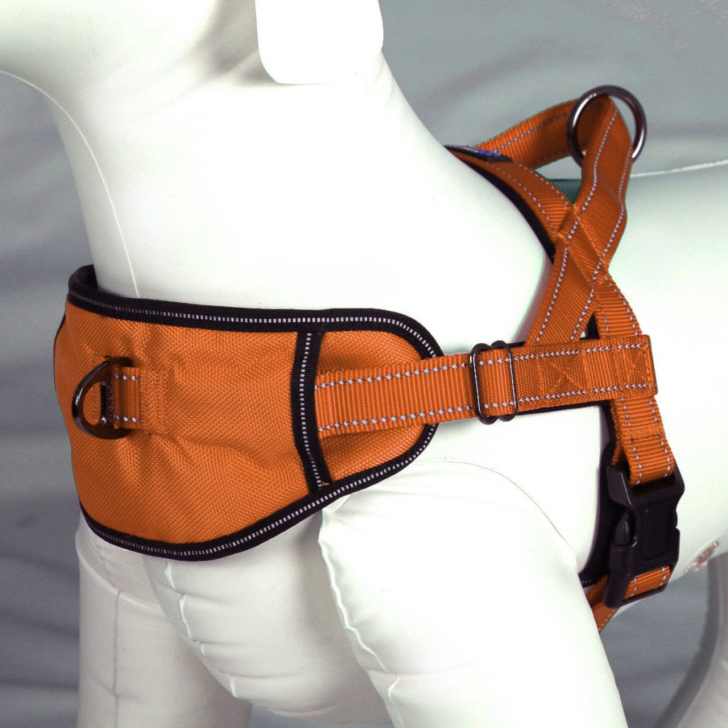 Passport Harness (discontinued)