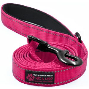 6 FT x 1" Wide Nylon Reflective Dog Leash - Image 6
