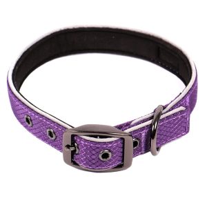 Glacier Dog Collar - Image 4