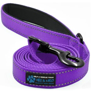 4 FT x 1" Wide Nylon Reflective Dog Leash - Image 13