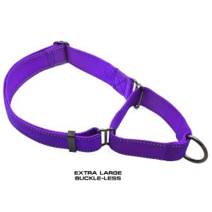 Martingale All Nylon XL Collar - Image 7
