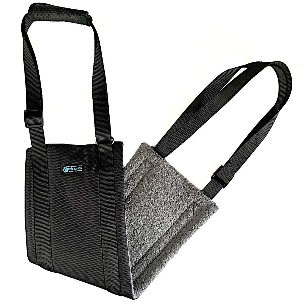 Lift Support and Rehab Harness