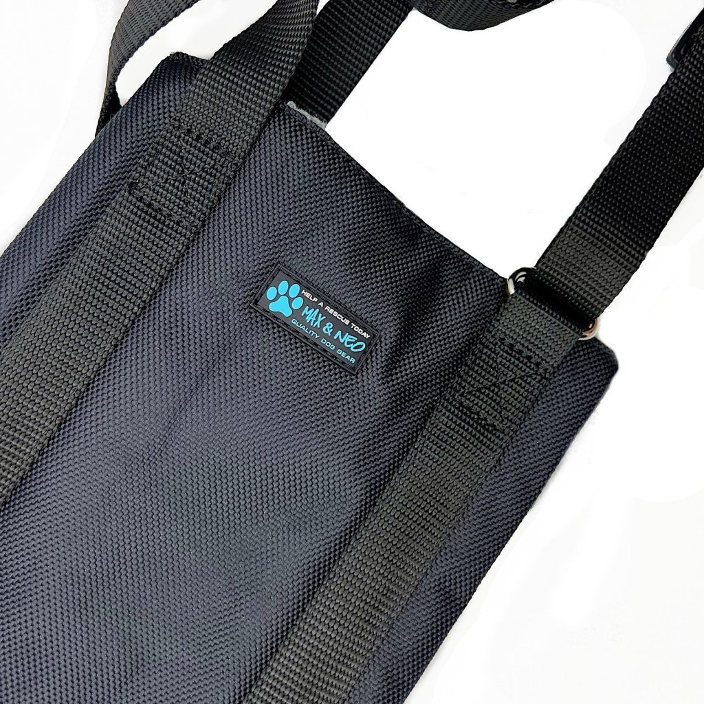 Lift Support and Rehab Harness