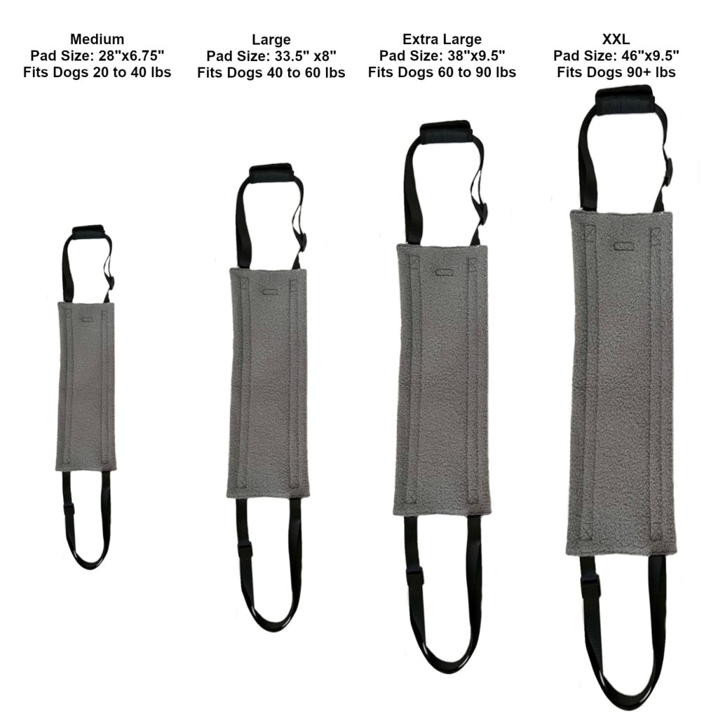 Lift Support and Rehab Harness