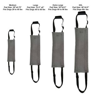 Lift Support and Rehab Harness - Image 3