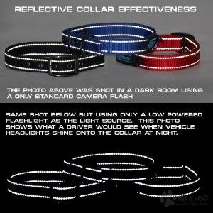 The NEO Dog Collar - Image 4