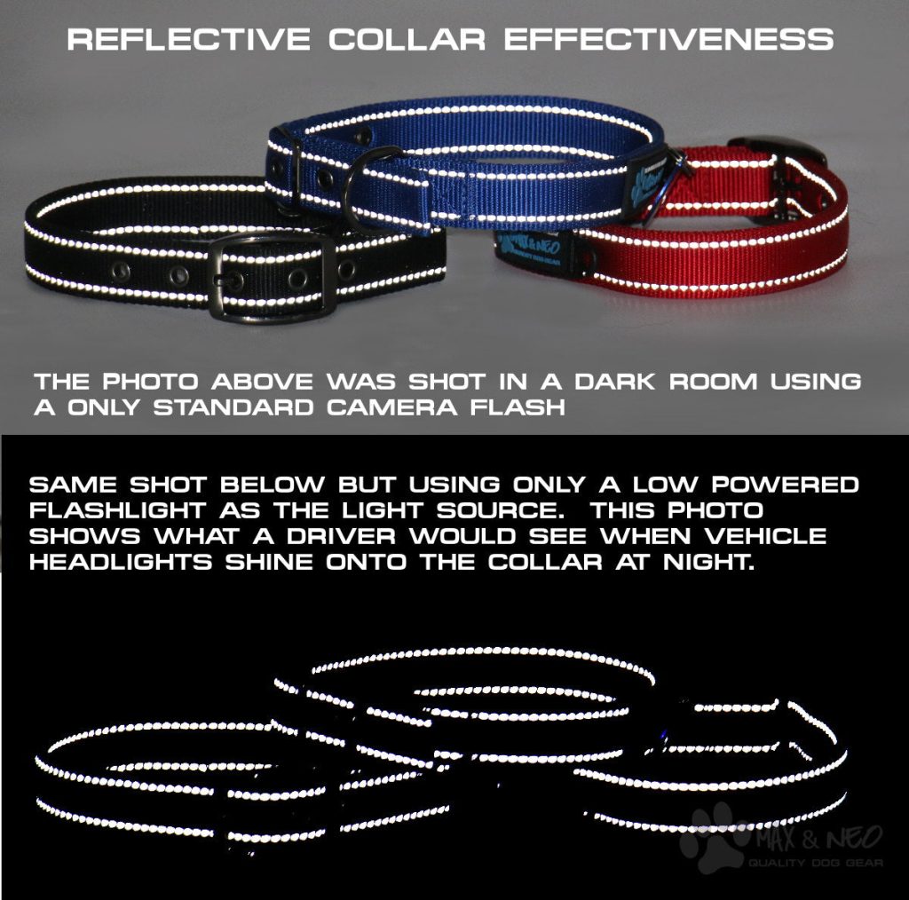 Martingale Chain Dog Collar