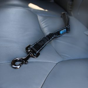 Seat Belt Bungee Harness Car Leash - Image 3