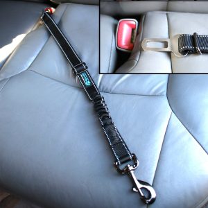 Seat Belt Bungee Harness Car Leash - Image 2