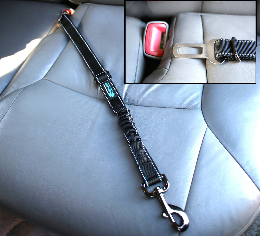 Seat Belt Bungee Harness Car Leash