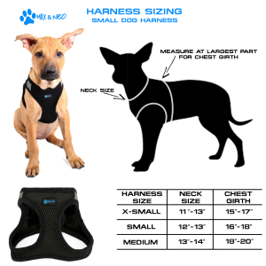 Nanu Small Dog Harness - Image 2