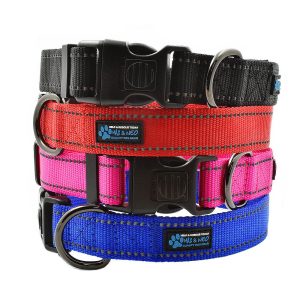 The NEO Dog Collar - Image 1