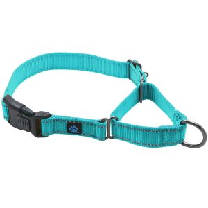 Martingale All Nylon Dog Collar - Image 1