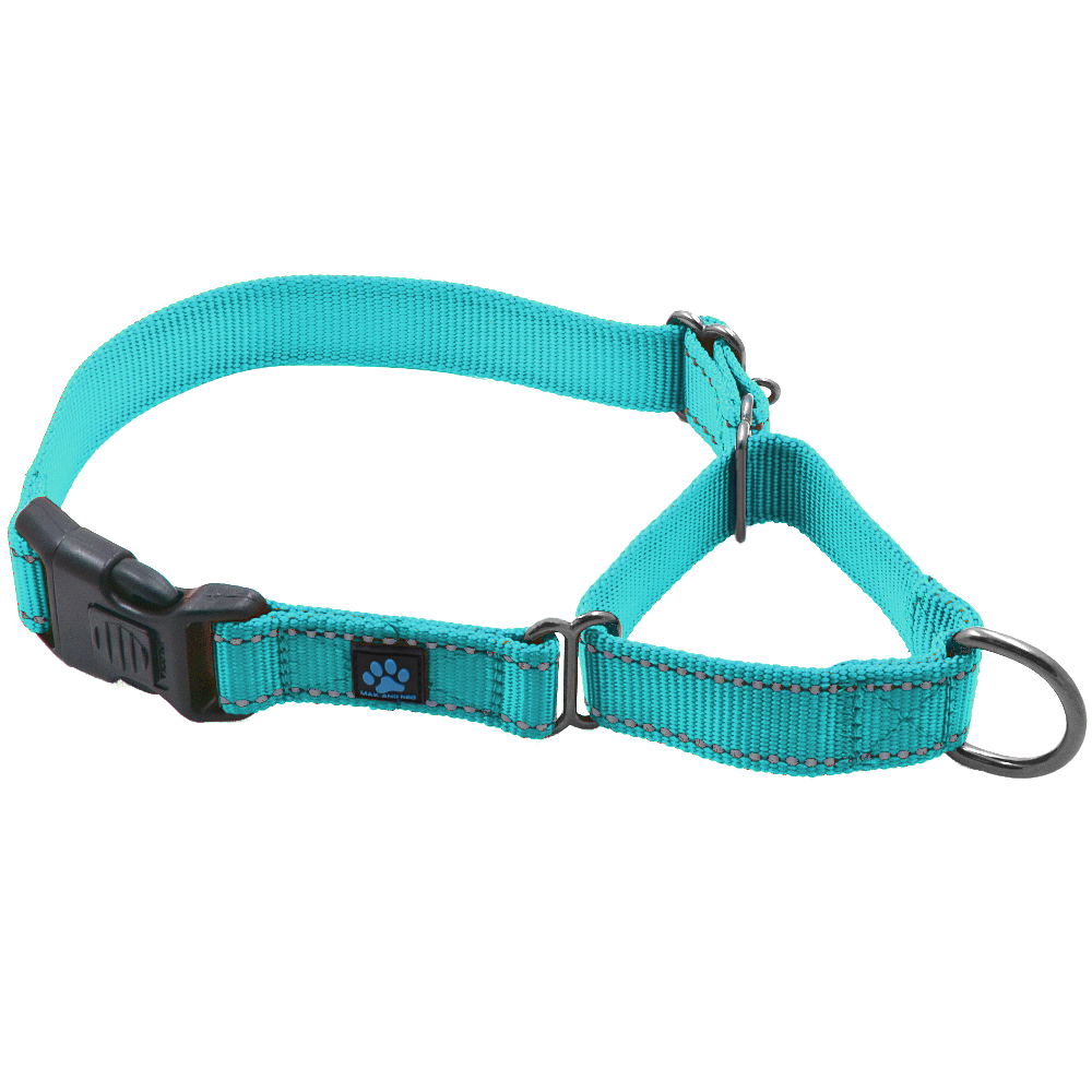 Martingale All Nylon Dog Collar