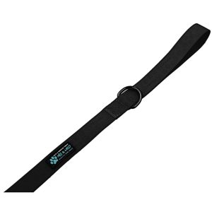 Waterproof 6 FT x 1" Wide Dog Leash - Image 4