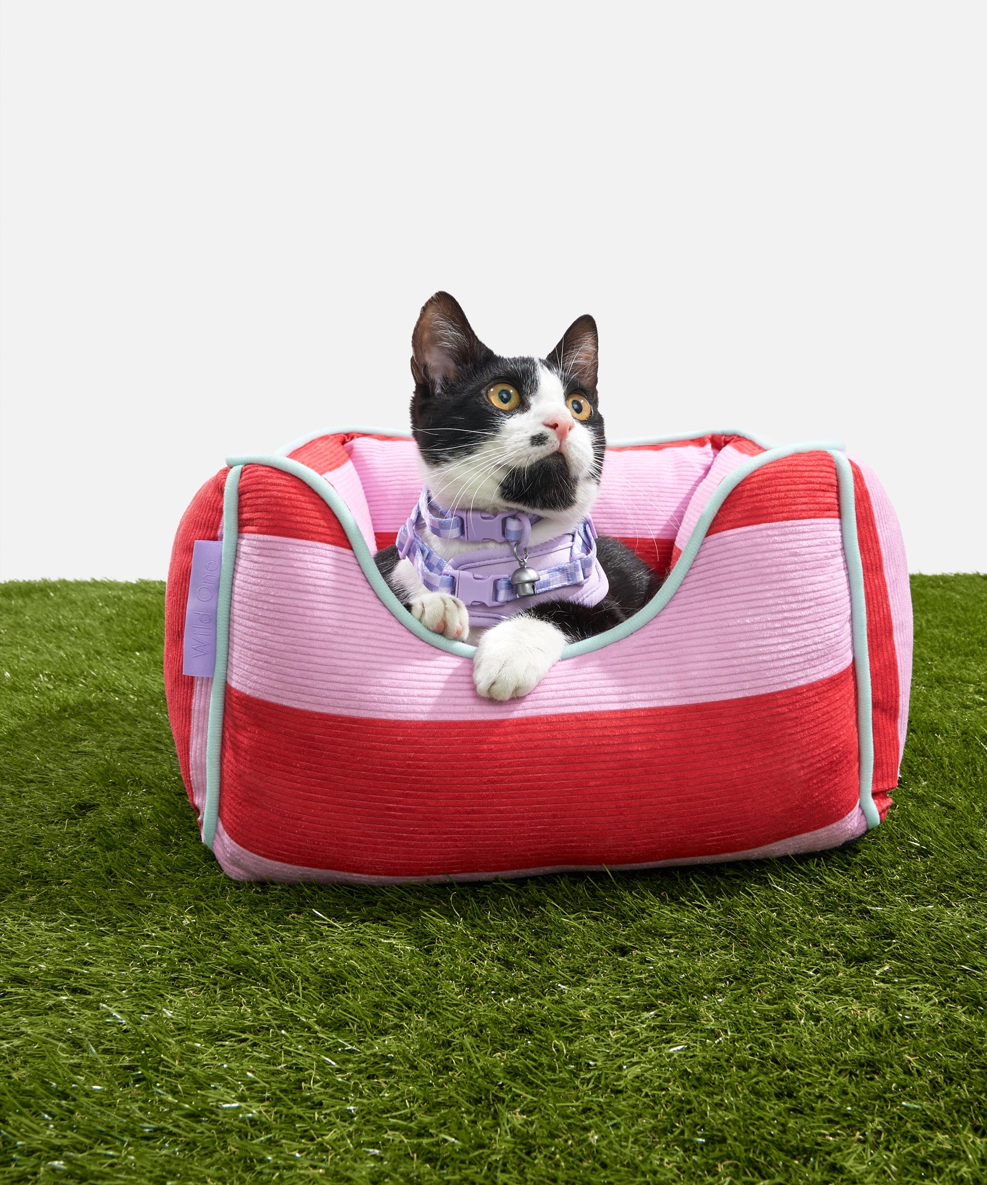 Cat Bolster Bed - Image 2