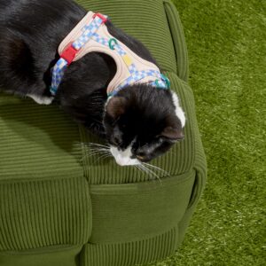 Cat Harness & Leash + Collar Kit - Image 6